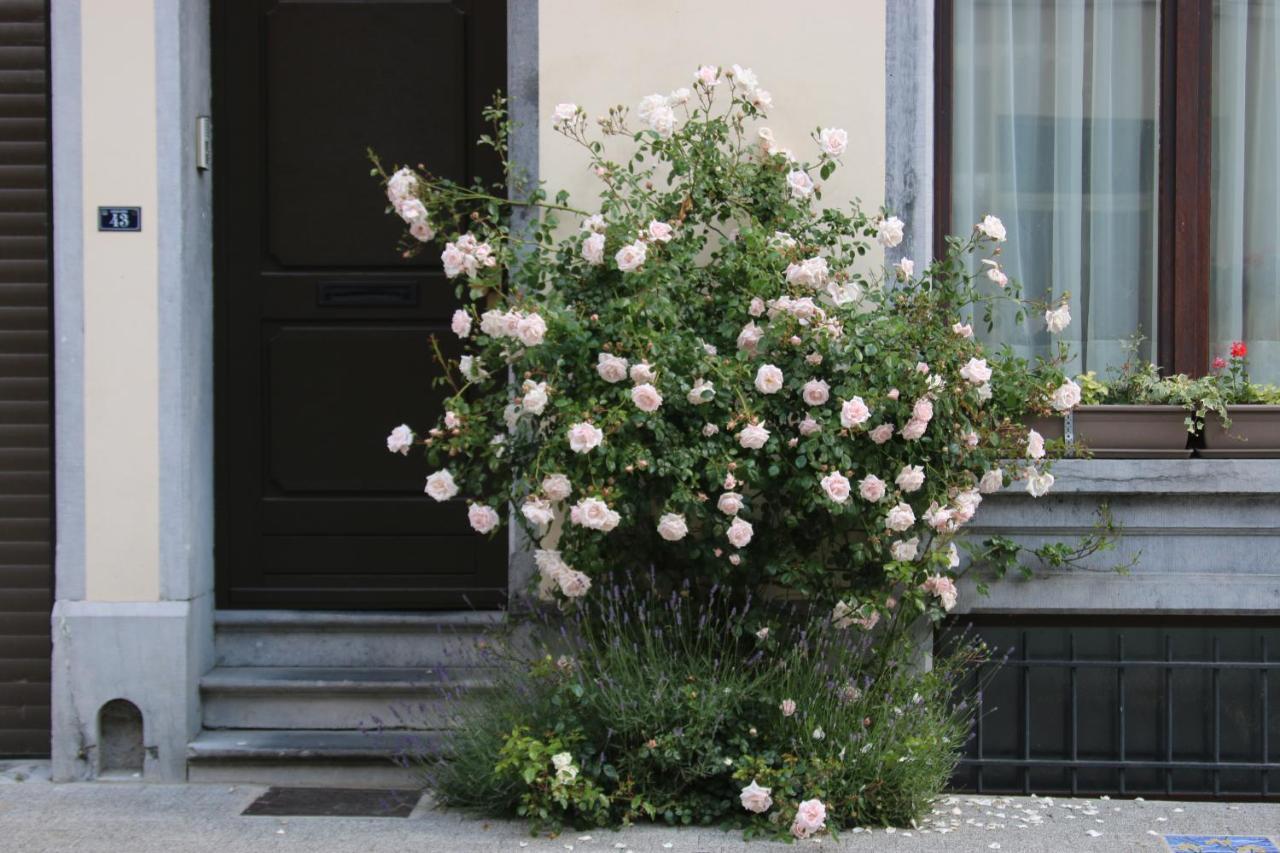 B&B Les Iris Brussels Exterior photo